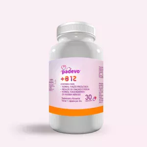 B 12
