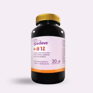 B 12
