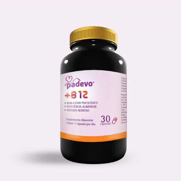B 12