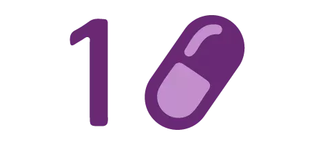 Animus.2