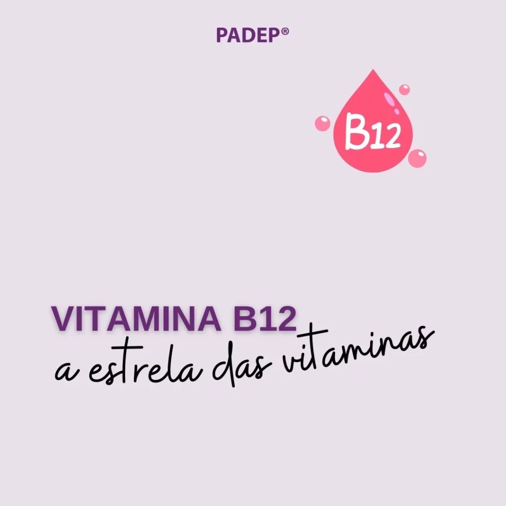 B 12 2